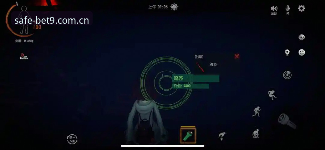 BET9官方下载使用技巧 揭秘BET9十年信誉背后:官方下载使用技巧全攻略
